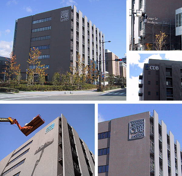 �����w������