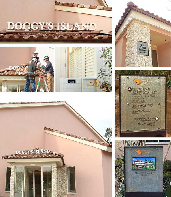 ���J���̗� �h�M�[�Y�A�C�����h