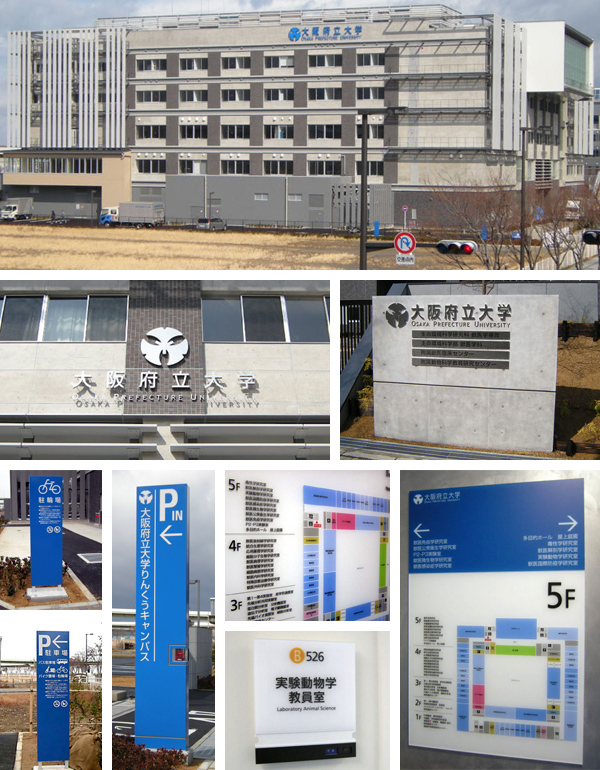 ���{����w�b��w��